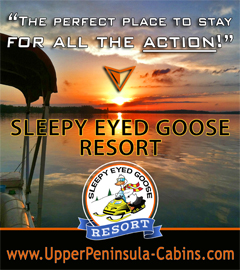 Sleepy Eyed Goose